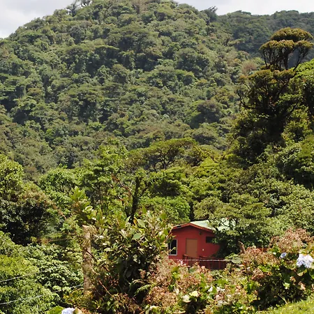 Vistaverde Lodge-2
